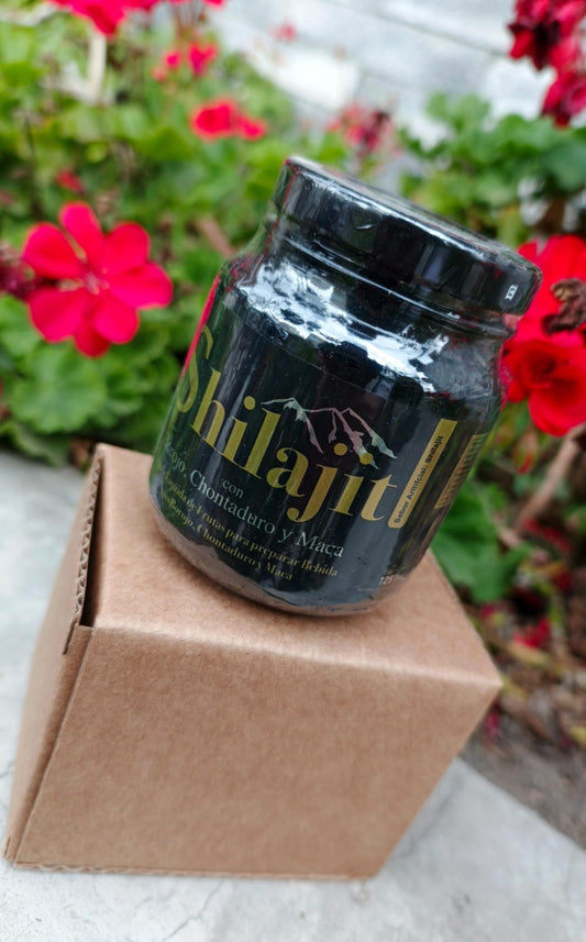 Energía del Himalaya – Shilajit Natural
